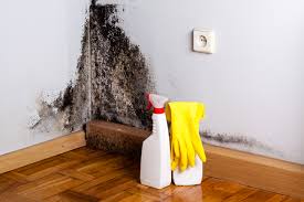 Best Water Damage & Mold Remediation  in Delta, OH